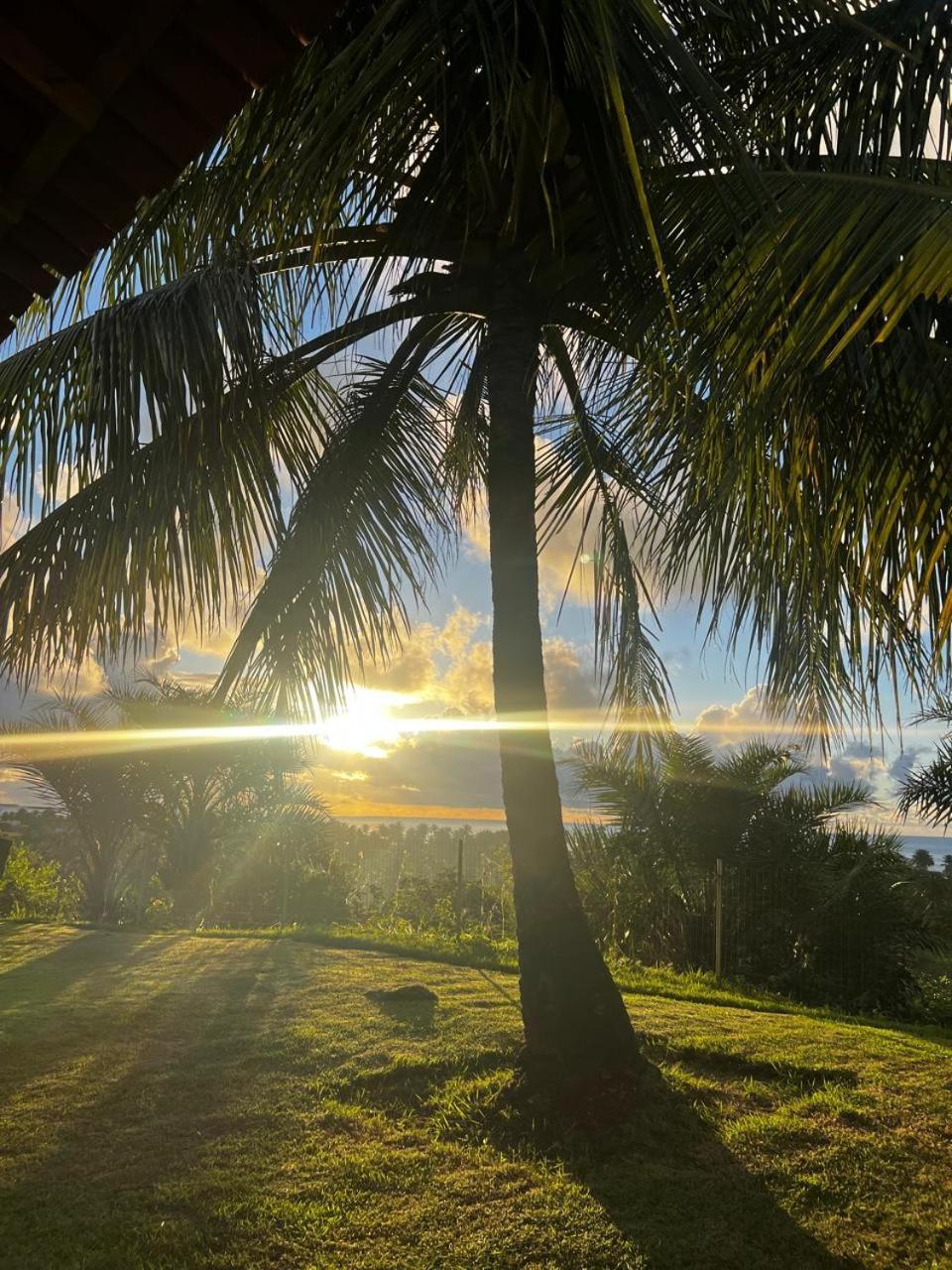 Pousada Riviera - Praia De Lagoa Do Pau Coruripe Zewnętrze zdjęcie